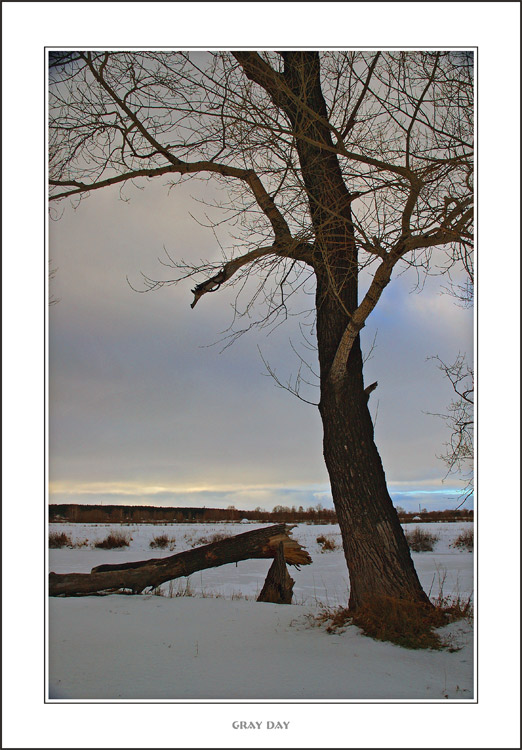 фото "Gray Day" метки: разное, пейзаж, осень