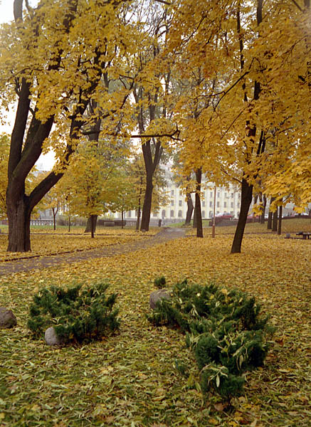 photo "Fall in city" tags: landscape, autumn