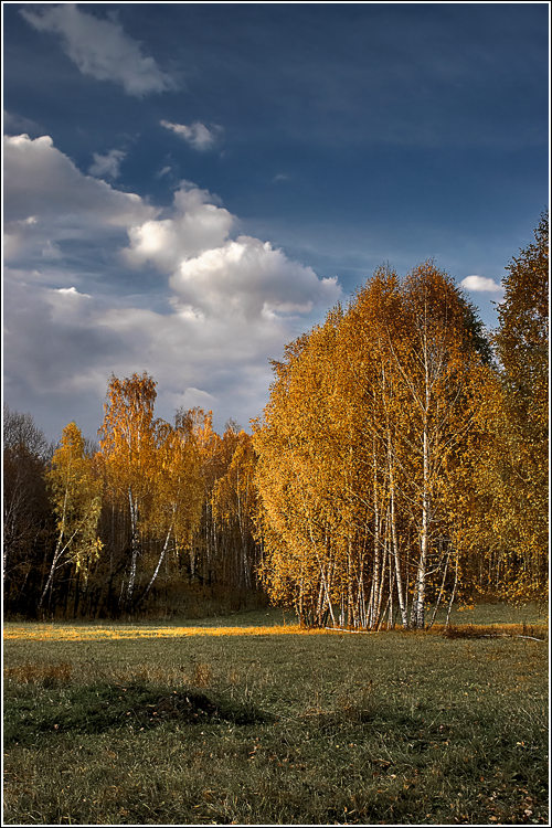 фото "Последний луч (Репост)" метки: пейзаж, осень