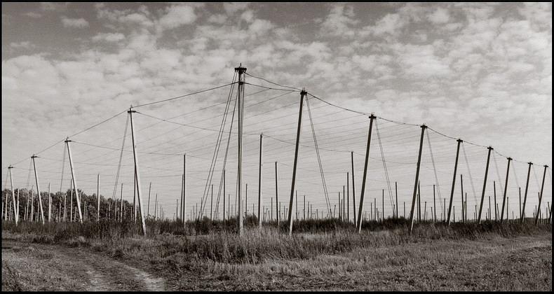 photo "stolbovaya panorama" tags: black&white, 