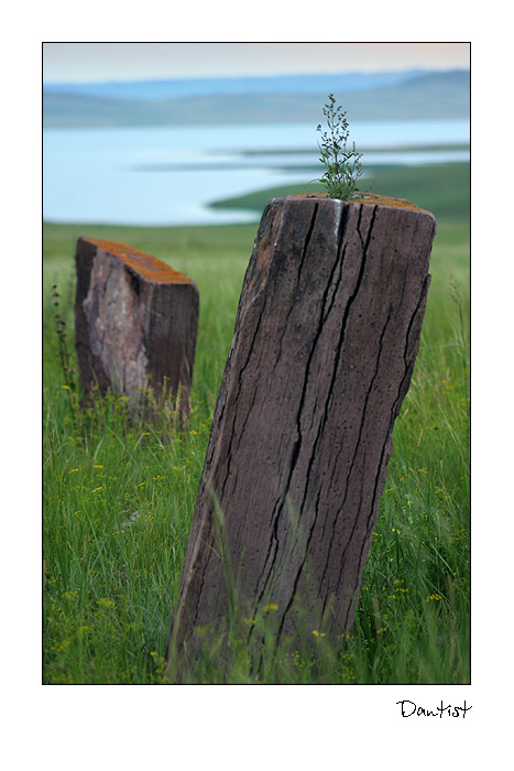 photo "Eternal" tags: landscape, summer
