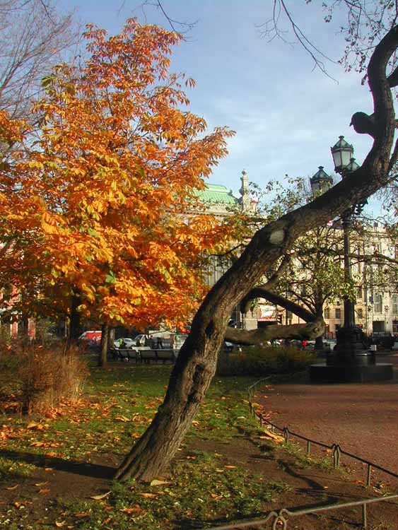 photo "Farewell to autumn" tags: landscape, architecture, autumn