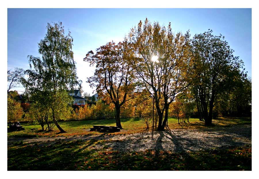 фото "Fall mood" метки: пейзаж, осень