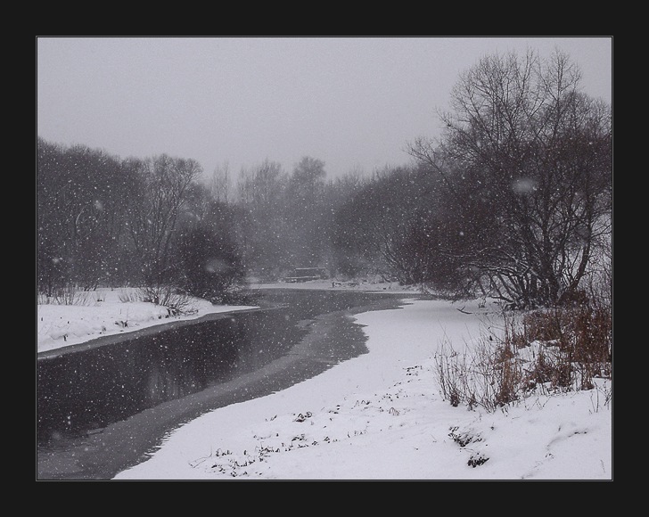 фото "начало зимы" метки: пейзаж, зима, лес