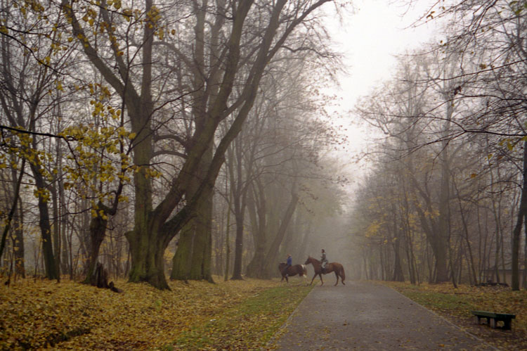 photo "In park, november" tags: landscape, autumn