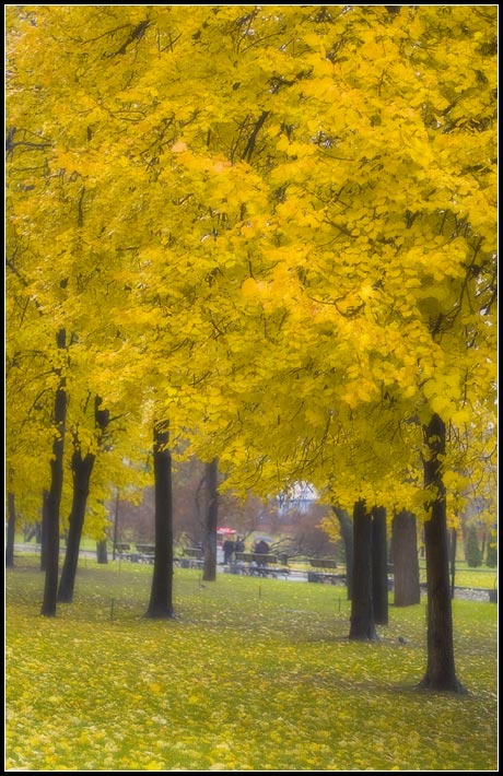 photo "Alexander`s Garden" tags: landscape, misc., autumn