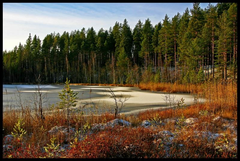 фото "Forest lake" метки: пейзаж, зима