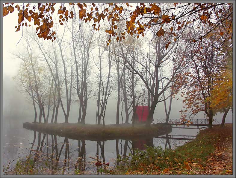 photo "Sad November..." tags: landscape, autumn, water
