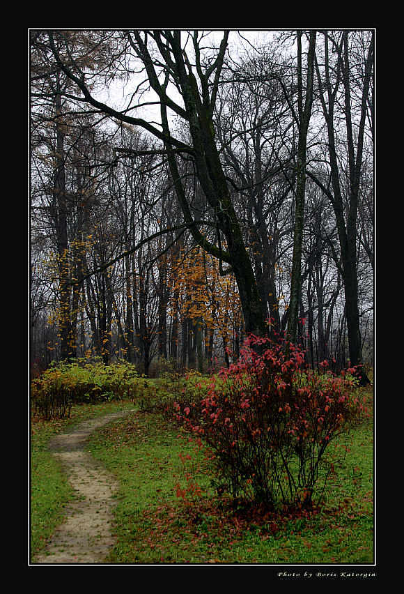 photo "Contrasts of late autumn" tags: landscape, autumn, forest