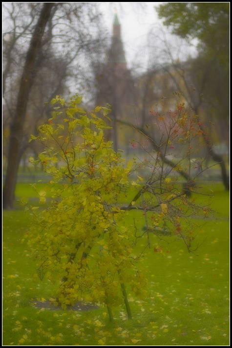 photo "Alexander`s Garden" tags: landscape, misc., autumn