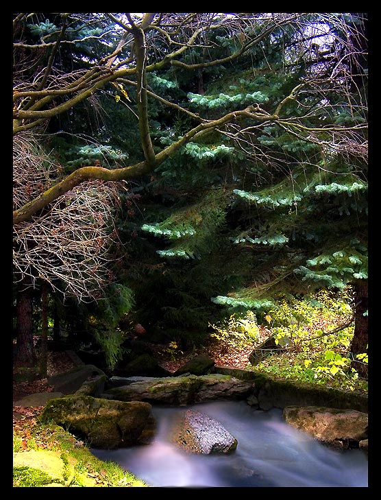 photo "Fairy tale in the Japanese style" tags: landscape, autumn