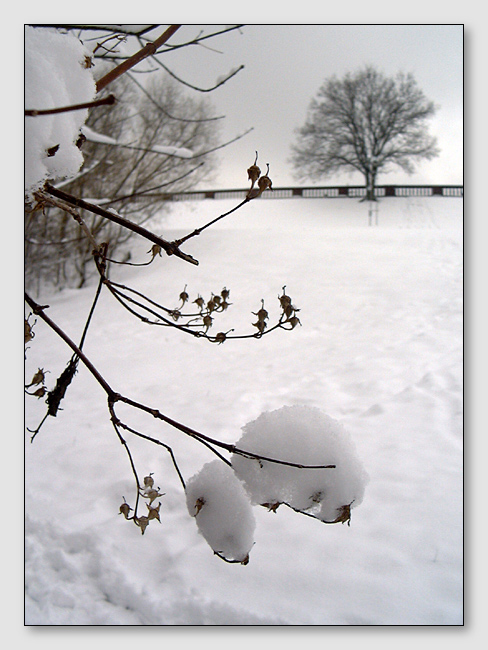 фото "А вчера был снегопад" метки: пейзаж, зима, лес
