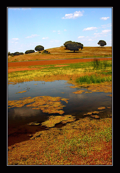 photo "coloured world #12" tags: landscape, summer, water