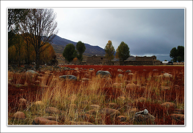 photo "red meadow" tags: landscape, 