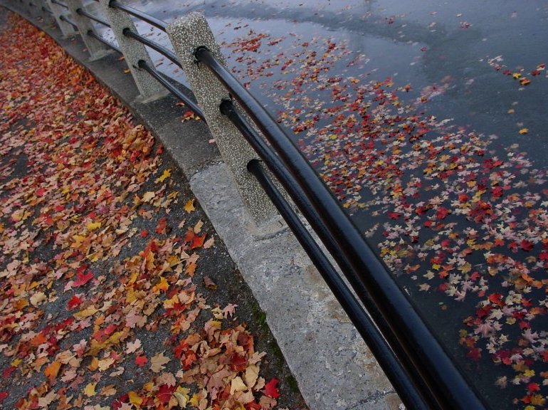 фото "First Frost" метки: пейзаж, вода, осень