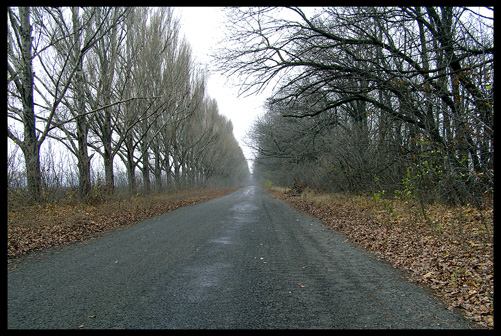 photo "It is road to the home." tags: landscape, nature, autumn