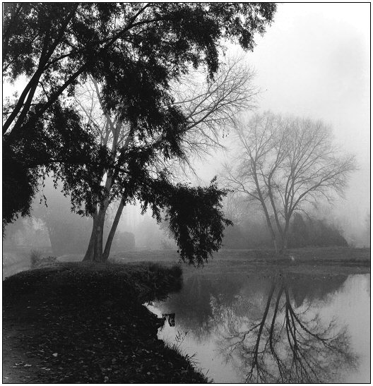 photo "fog" tags: landscape, autumn