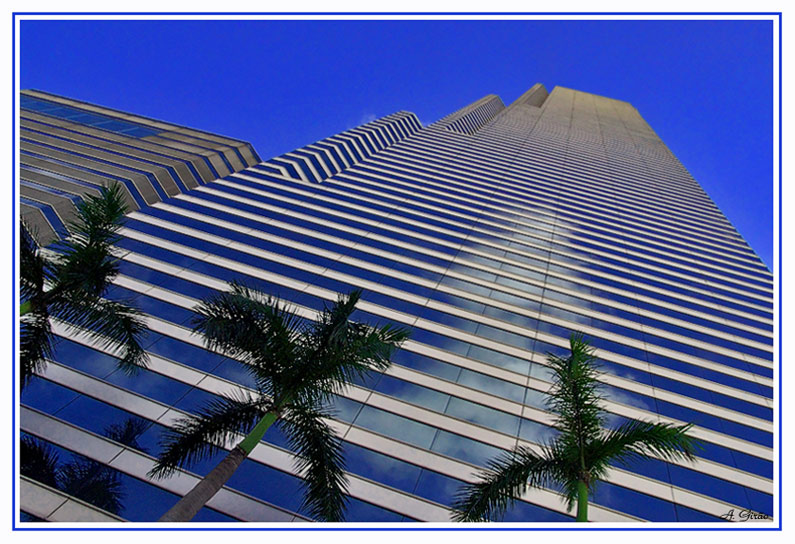 photo "Reflections up to Sky" tags: architecture, travel, landscape, North America