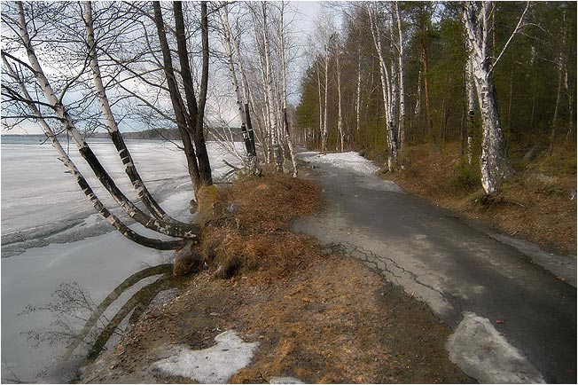 фото "Времена года." метки: разное, 