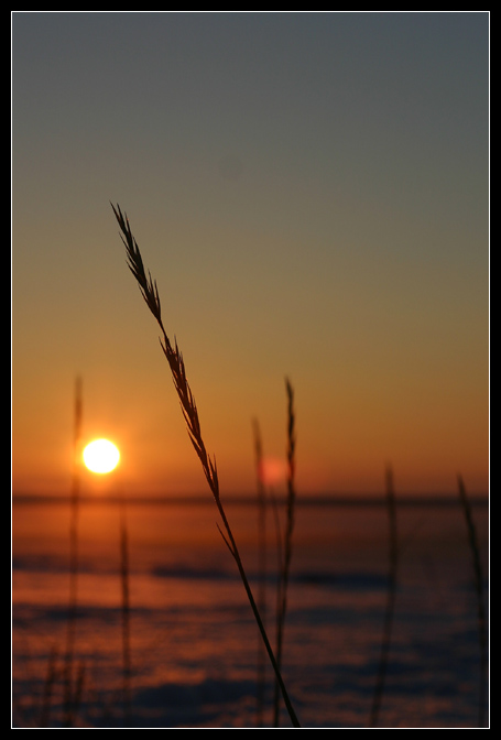 фото "Winter Sunset" метки: пейзаж, закат, зима