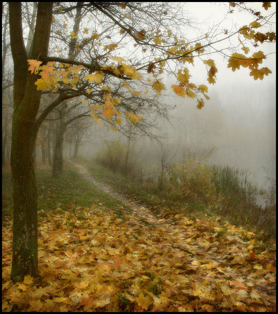 photo "Smell of a rain" tags: landscape, autumn