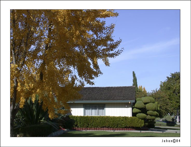 photo "Fall 2004" tags: landscape, nature, autumn, flowers
