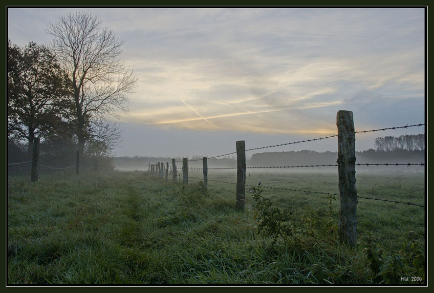 photo "Morning foggy." tags: landscape, summer, sunset