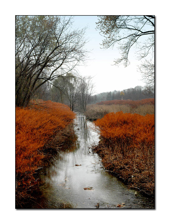 фото "Creek" метки: пейзаж, осень