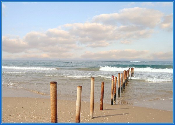 photo "Fence in the sea" tags: landscape, water