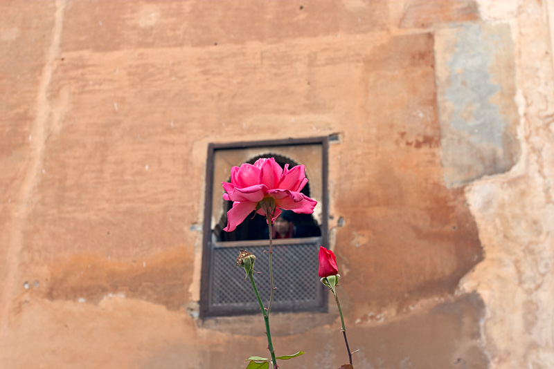 photo "Spanish rose" tags: architecture, travel, landscape, Europe