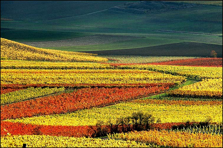 photo "*" tags: landscape, autumn