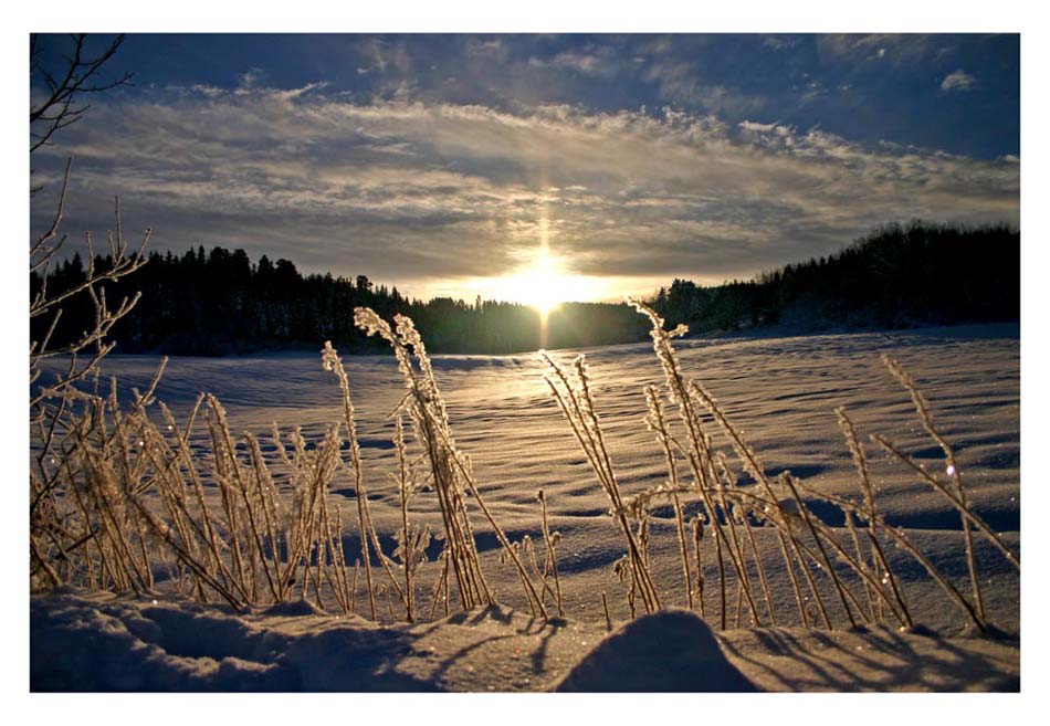 photo "Cold winter mood at Dragvoll" tags: landscape, winter