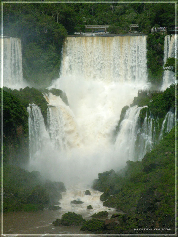 photo "The power of nature" tags: landscape, forest, water