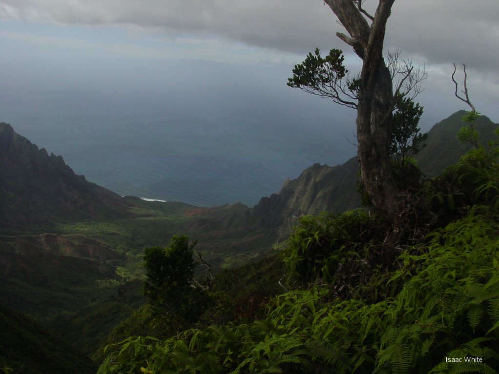 photo "Kalalu Valley, Kauai, Hawaii" tags: misc., 