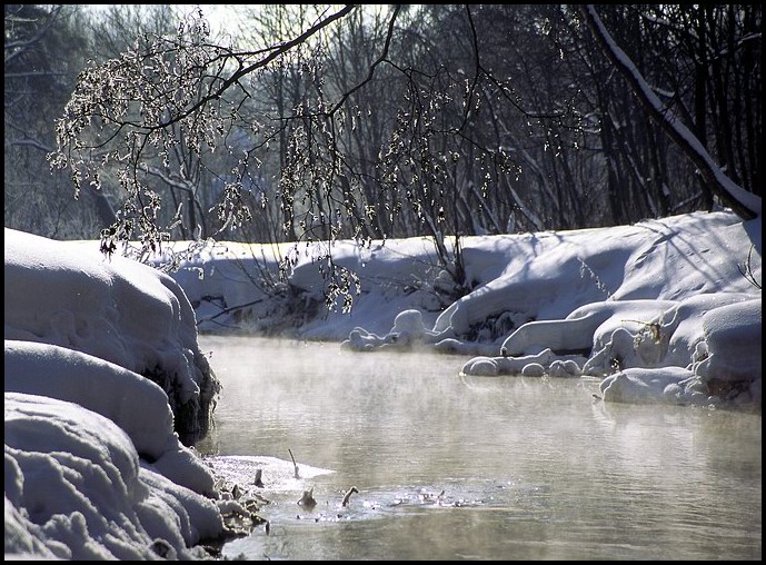фото "морозным утром у реки..." метки: пейзаж, вода, зима