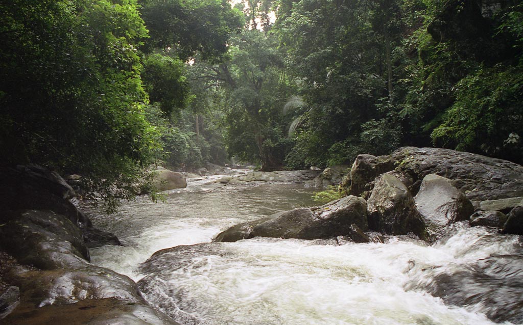 photo "Thailand - Kaeng Krachan 4" tags: landscape, forest