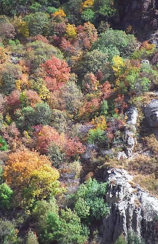 photo "Autumn in Gegard" tags: landscape, autumn, forest