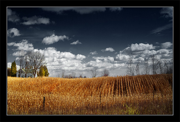 фото "Осень за окраиной" метки: пейзаж, осень