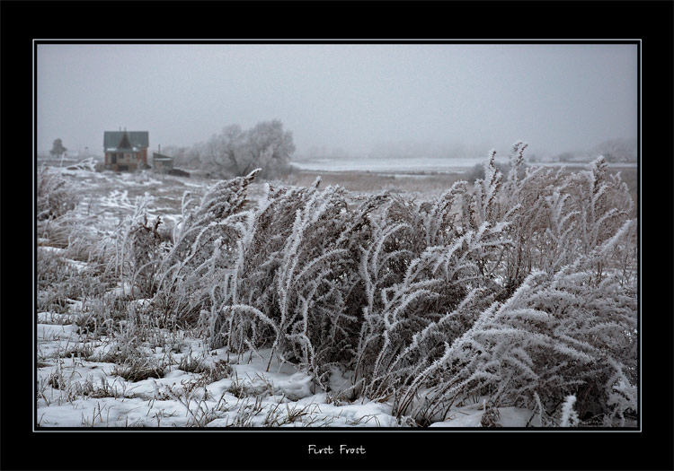 photo "First Frost" tags: misc., landscape, autumn