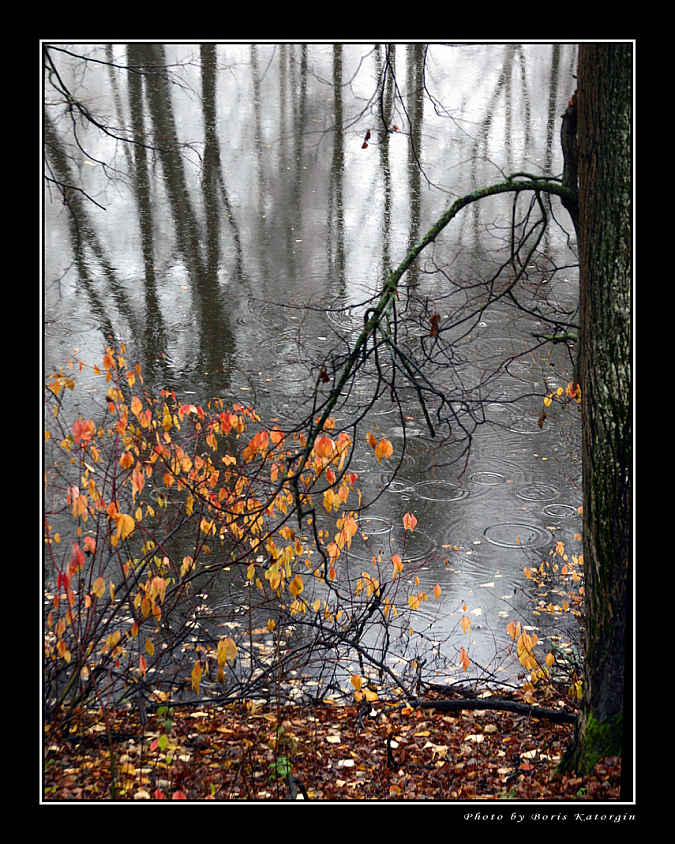 photo "Autumnal weeping of nature" tags: landscape, autumn, water