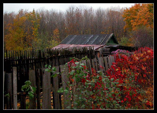 фото "Краски осени" метки: пейзаж, осень