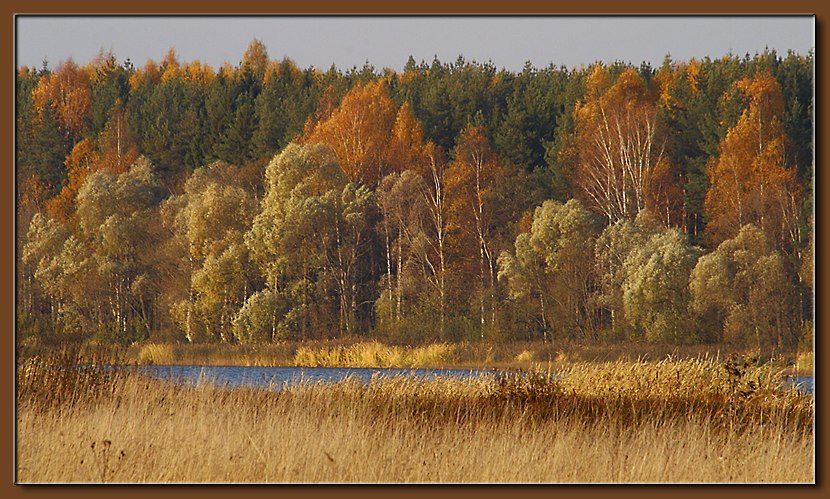 photo "October Palette" tags: landscape, autumn