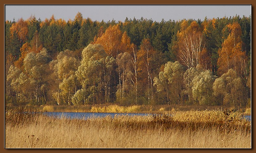 фото "палитра отктября" метки: пейзаж, осень