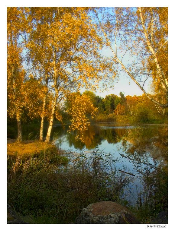 фото "Золотая осень." метки: пейзаж, осень
