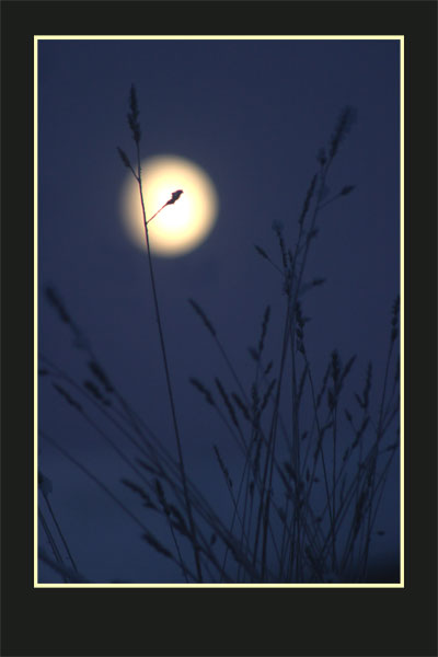 фото "Восход луны" метки: разное, 