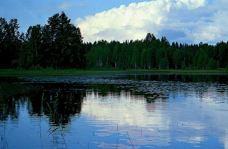 photo "Blue evening." tags: landscape, autumn, water