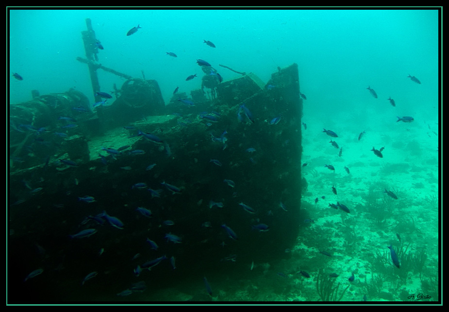 photo "Shipwreck #1" tags: underwater, travel, South America