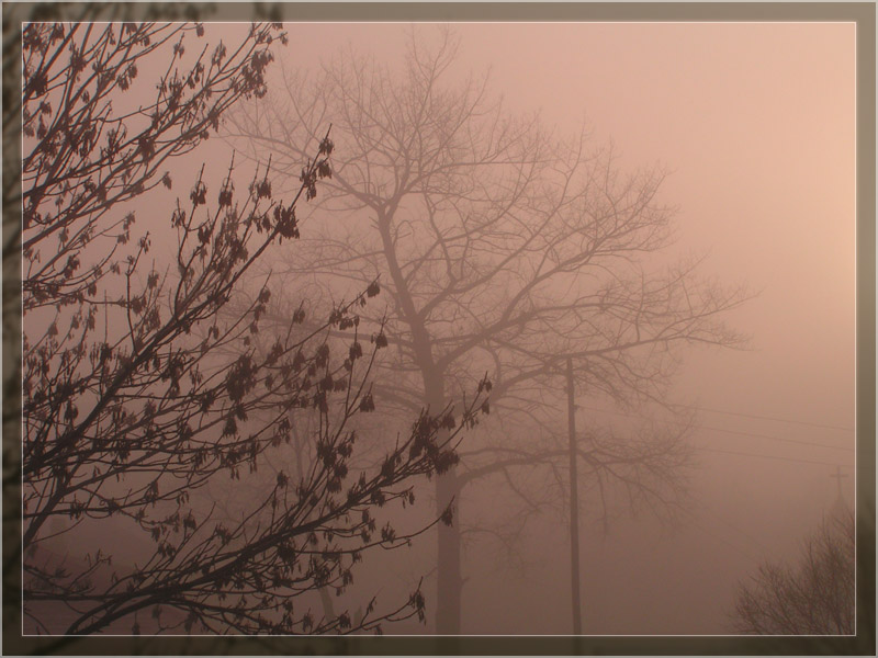 фото "Foggy Morning (Overlook from my window)" метки: разное, 