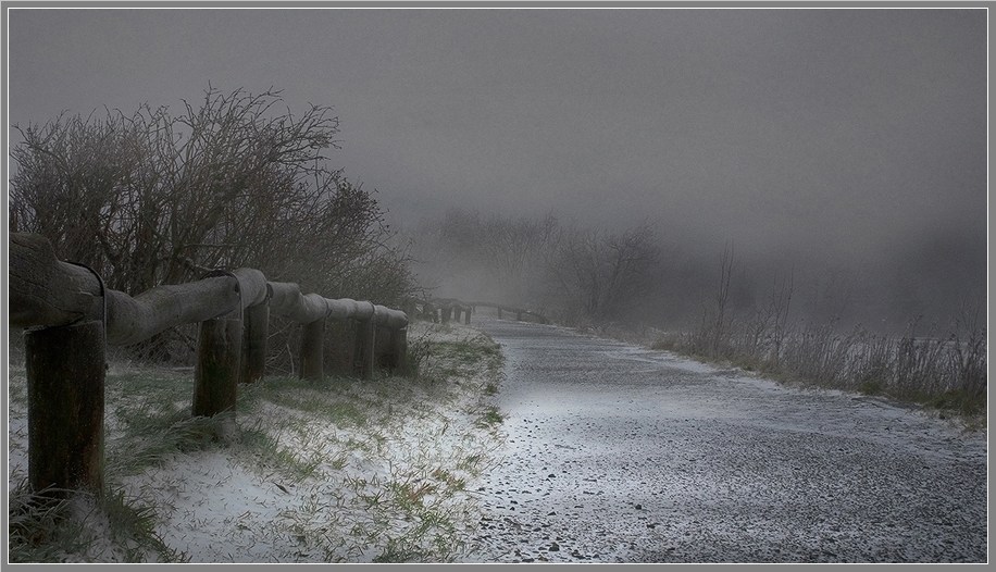 photo "The first blizzard." tags: landscape, autumn, forest