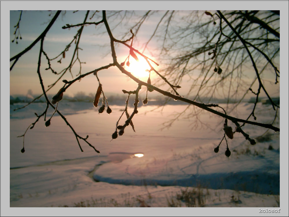 photo "The winter sun" tags: landscape, sunset, winter